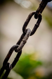 Close-up of metal chain