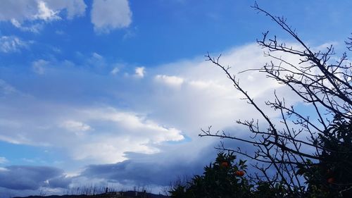 Low angle view of silhouette trees against blue sky