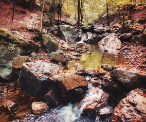 Stream flowing through rocks in forest