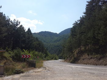 Road by trees against sky