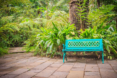 Empty bench in park