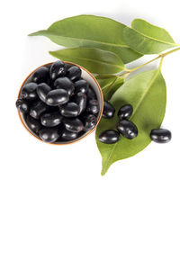 Directly above shot of fruits in plate against white background