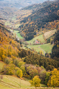 High angle view of trees on landscape during autumn