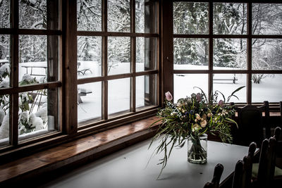 Potted plants on window sill