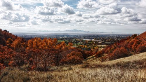 Scenic view of landscape against sky during autumn