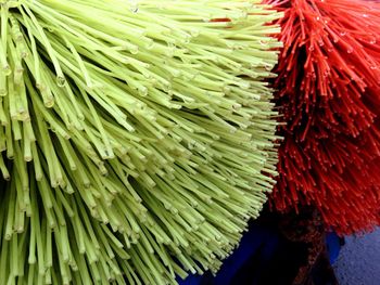 Close-up of leaf for sale in market