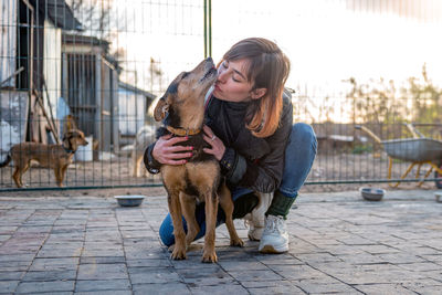 Dog at the shelter. animal shelter volunteer takes care of dogs. 