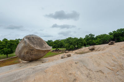 Rocks and trees on rock against sky