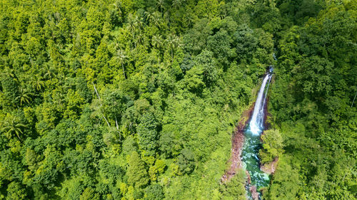 Aerial view of waterfall amidst trees
