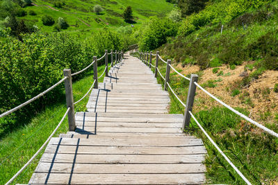 Boardwalk leading towards trees