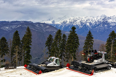 Panoramic view of trees and snowcapped mountains against sky
