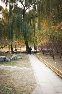 People on footpath in park during autumn