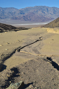 Scenic view of desert