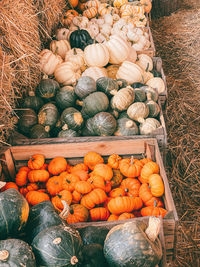 High angle view of pumpkins for sale in market