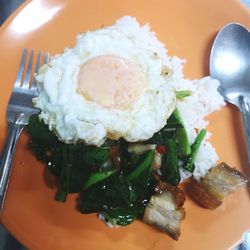 Close-up of meal served in plate