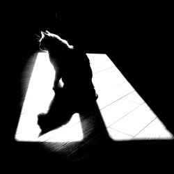 Low section of people on floor at home