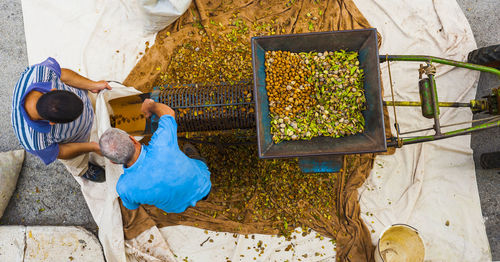 High angle view of young woman