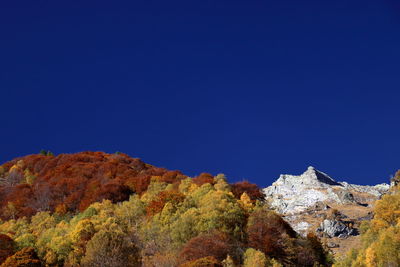 Scenic view of landscape against clear blue sky