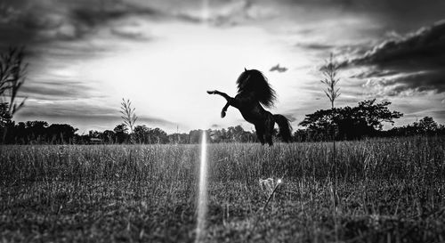 Side view of woman jumping on field against sky