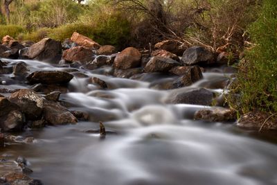 Stream flowing through rocks in forest