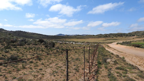 Scenic view of agricultural field against sky