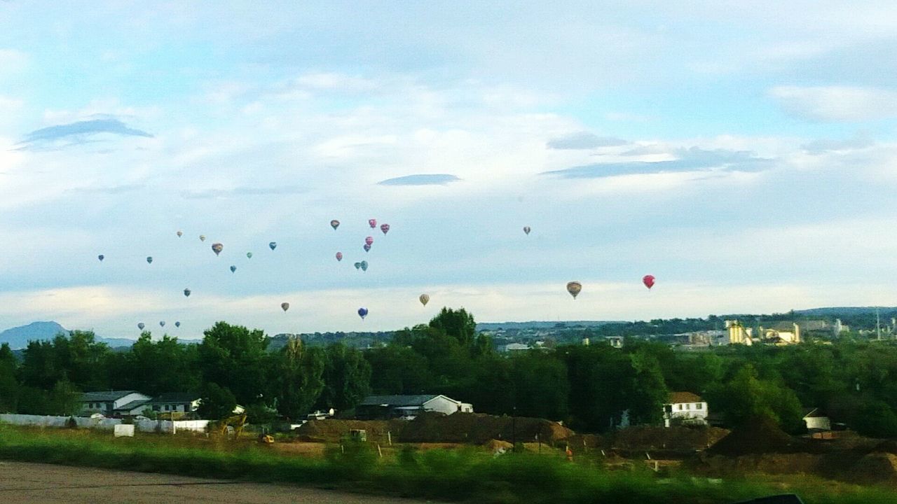 HOT AIR BALLOONS FLYING OVER TREES