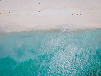 Birds flying over sea against sky