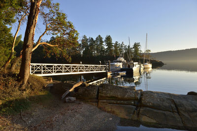 Scenic view of river against clear sky