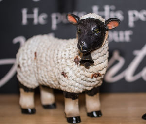 Close-up portrait of a dog