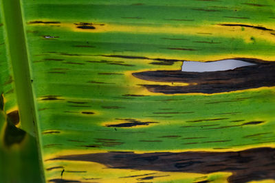 Full frame shot of yellow wall