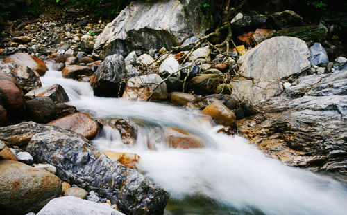 Scenic view of waterfall in forest