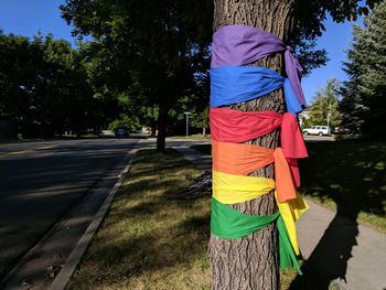 Flag against trees