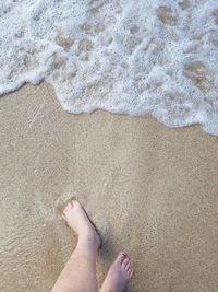 Low section of woman walking at sea shore