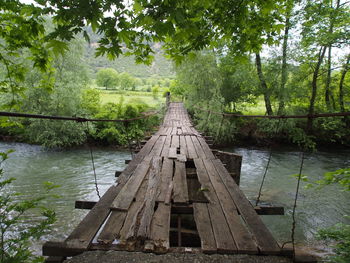 Wooden bridge over river amidst trees in forest