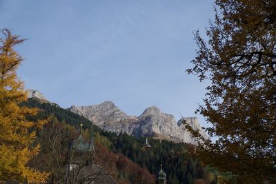 Low angle view of trees against sky during autumn