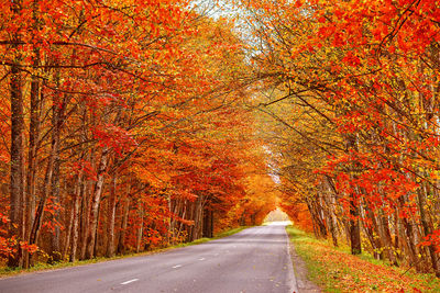 Road amidst trees during autumn