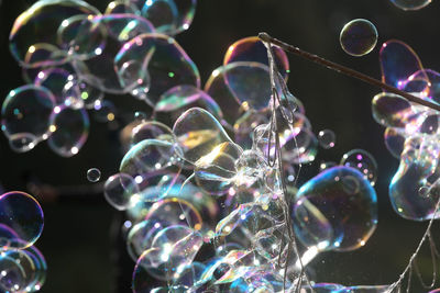 Soap bubbles in