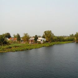 Reflection of trees in water