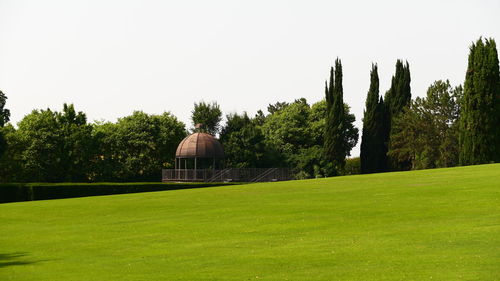 Trees on field against clear sky