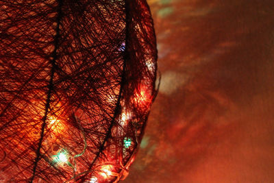 Close-up of illuminated bare tree