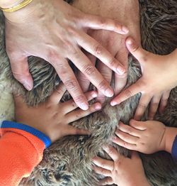 Cropped hands of family touching on rug at home