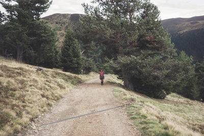 Rear view of people walking on dirt road