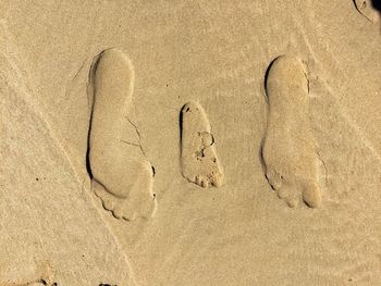 High angle view of family footprints at beach