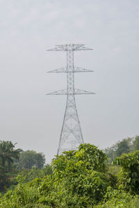 Low angle view of tree