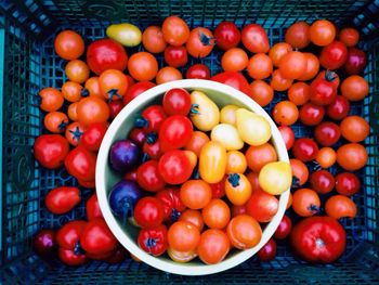 Directly above shot of tomatoes in basket for sale at market