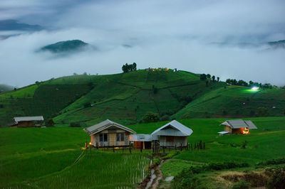 Scenery of fog on the top of the hill terraced rice fields, ban pa pong piang rice terraces.