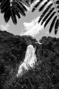 Scenic view of waterfall in forest against sky