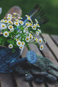 Close-up of flowering plants in watering can on table