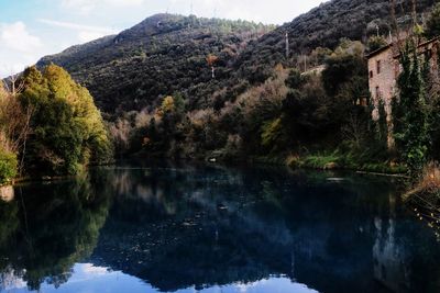 Scenic view of lake by trees against sky