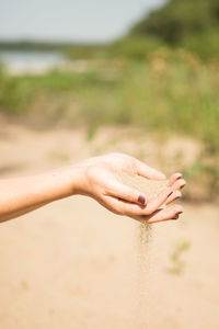 Close-up of hand holding stick on sand